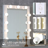 Toyswill Large Vanity Mirror with Lights 23.6" x 31.5" LED Lighted Vanity Mirrors Hollywood Makeup Mirror with Dimmer White Desk or Wall Mounted, Dimmable Bulbs Included
